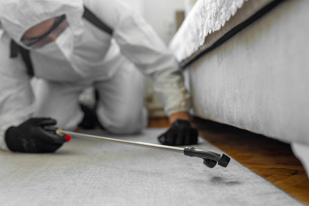 Professional Rodent Control technician working in Empire, CA