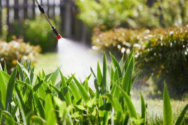 24/7 Emergency Rodent Control experts in Empire, CA