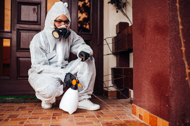 Reliable Rodent Control contractor in Empire, CA by Nex Pest Control